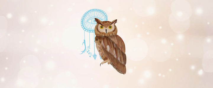 Owl Animal Medicine & Supportive Crystals