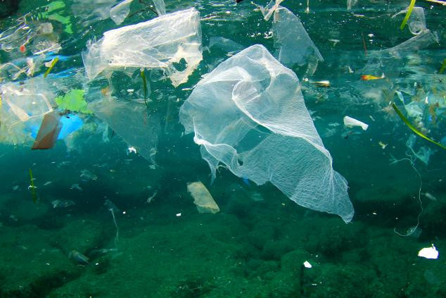 Earth Day Plastic Bag Pledge