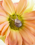 Botswana Agate Soul-Full of Light Necklace for Change