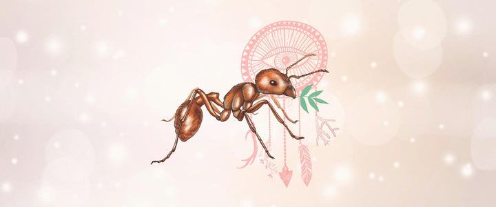 Ant Animal Medicine & Supportive Crystals