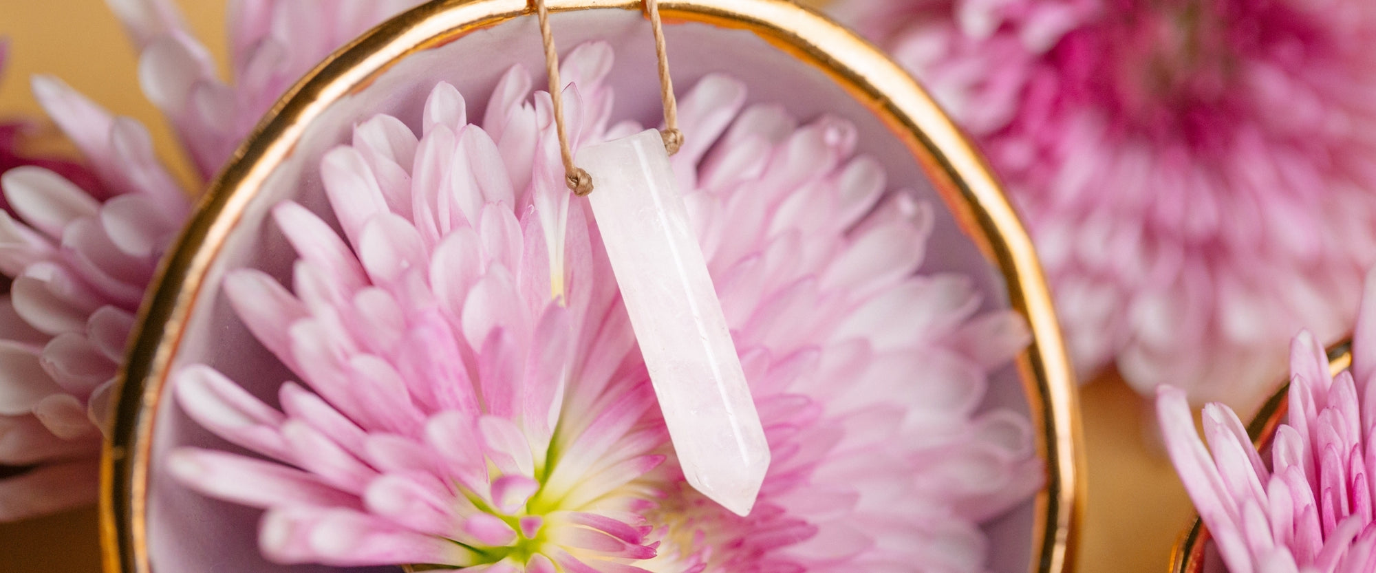 Shifts In Perspectives