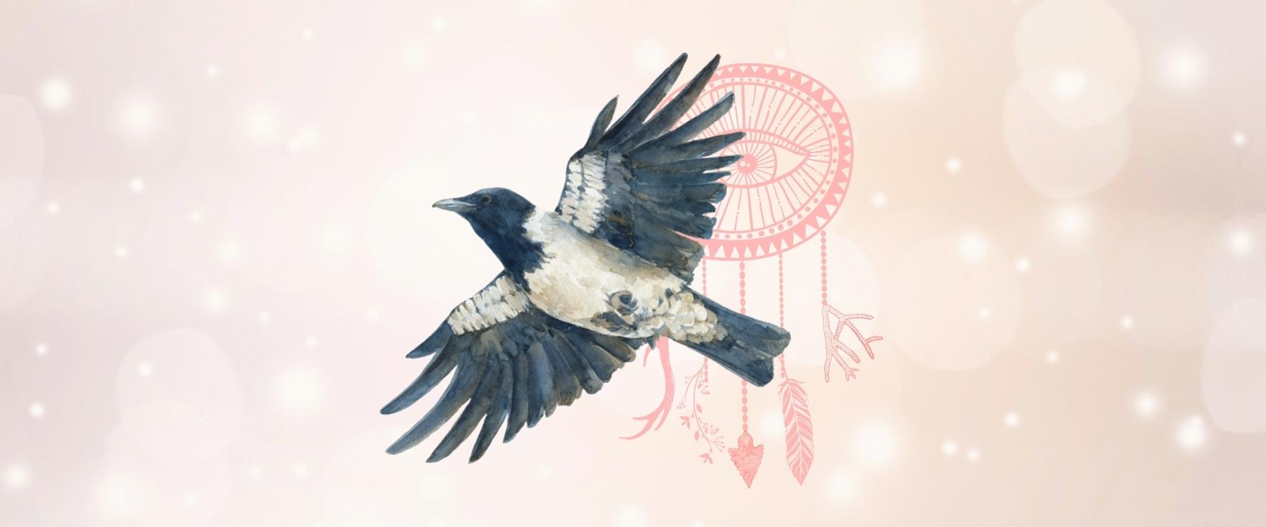 Crow Animal Medicine & Supportive Crystals