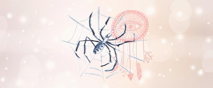 Spider Animal Medicine & Supportive Crystals