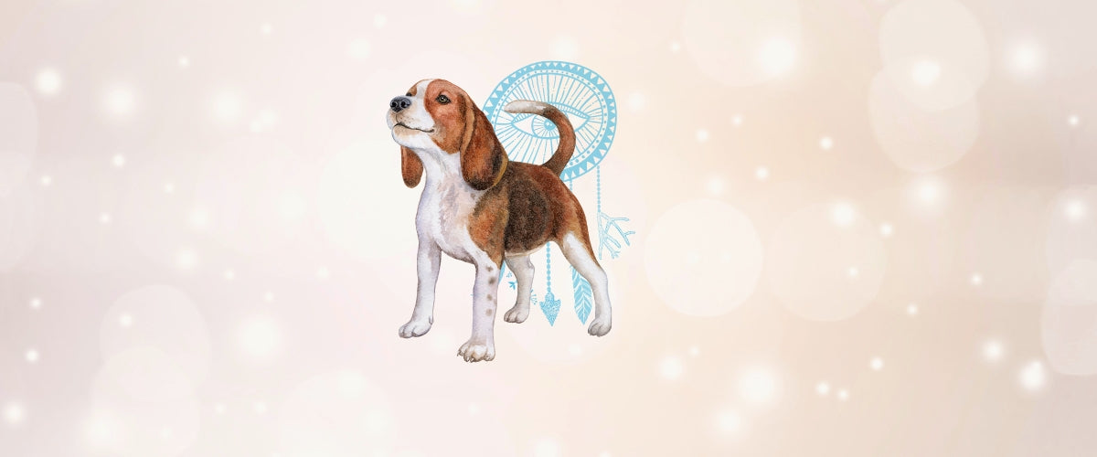 Dog Animal Medicine & Supportive Crystals