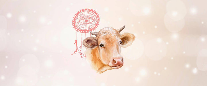 Cow Animal Medicine & Supportive Crystals
