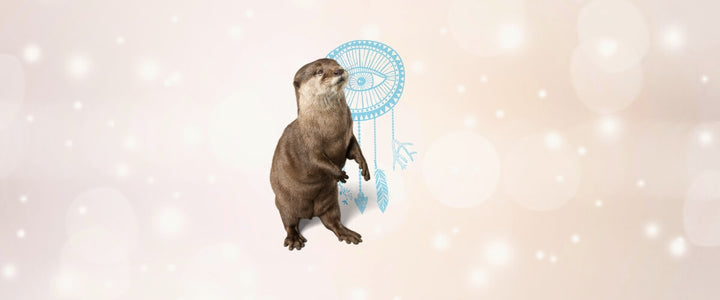 Otter Animal Medicine & Supportive Crystals