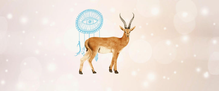 Antelope Animal Medicine & Supportive Crystals