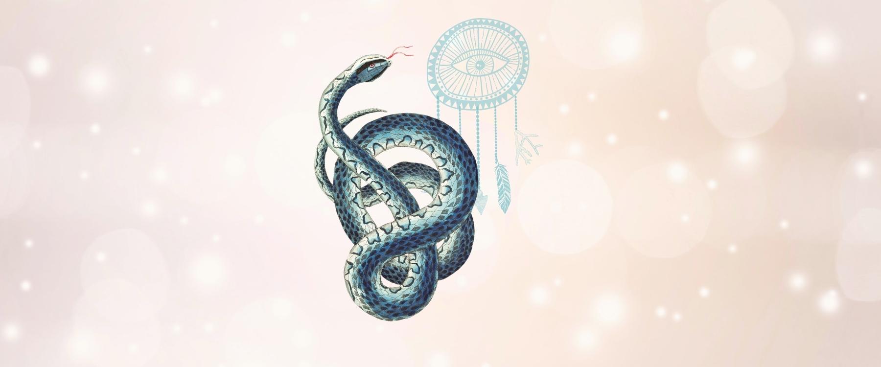 Snake Animal Medicine & Supportive Crystals