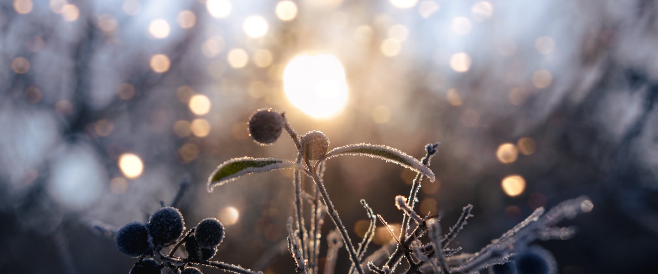 Winter Solstice Ritual & Supportive Crystals β SoulKu