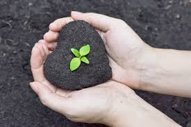 Make Your Growth Intentional