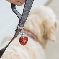 Carnelian Lucky Pet Charm for Happiness