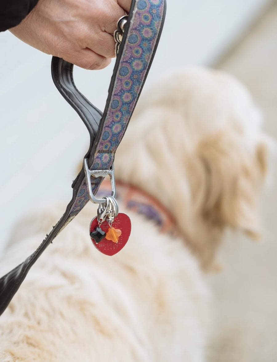 Carnelian Lucky Pet Charm for Happiness