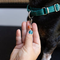 Carnelian Lucky Pet Charm for Happiness