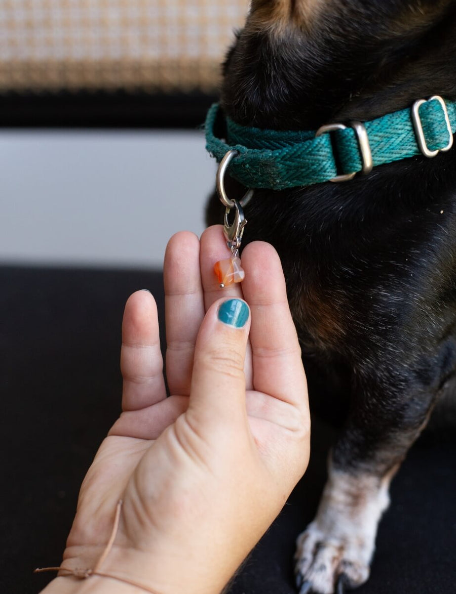 Carnelian Lucky Pet Charm for Happiness