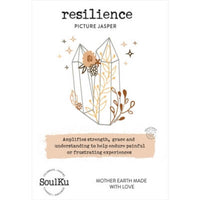 Picture Jasper Relief Stone for Resilience