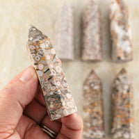 Fossilized Coral Mini Point for Inner Wisdom