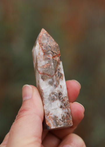 Fossilized Coral Mini Point for Inner Wisdom